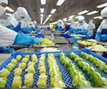 富士通為生鮮食品廠定制潔凈方案，助力食品廠美好環(huán)境建設(shè)